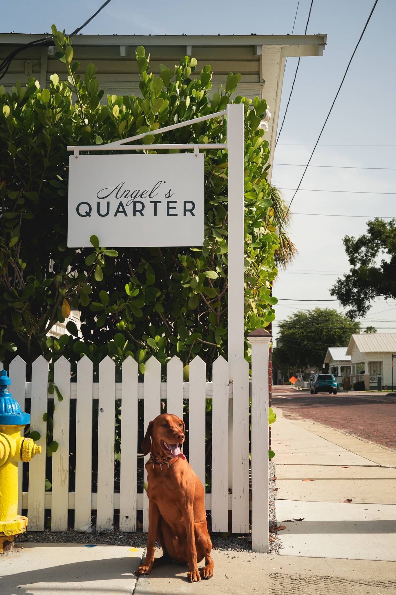 Angel's Quarter